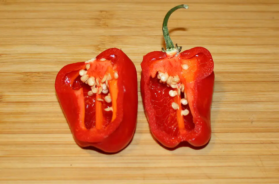 Red Habanero Pepper cut in halves