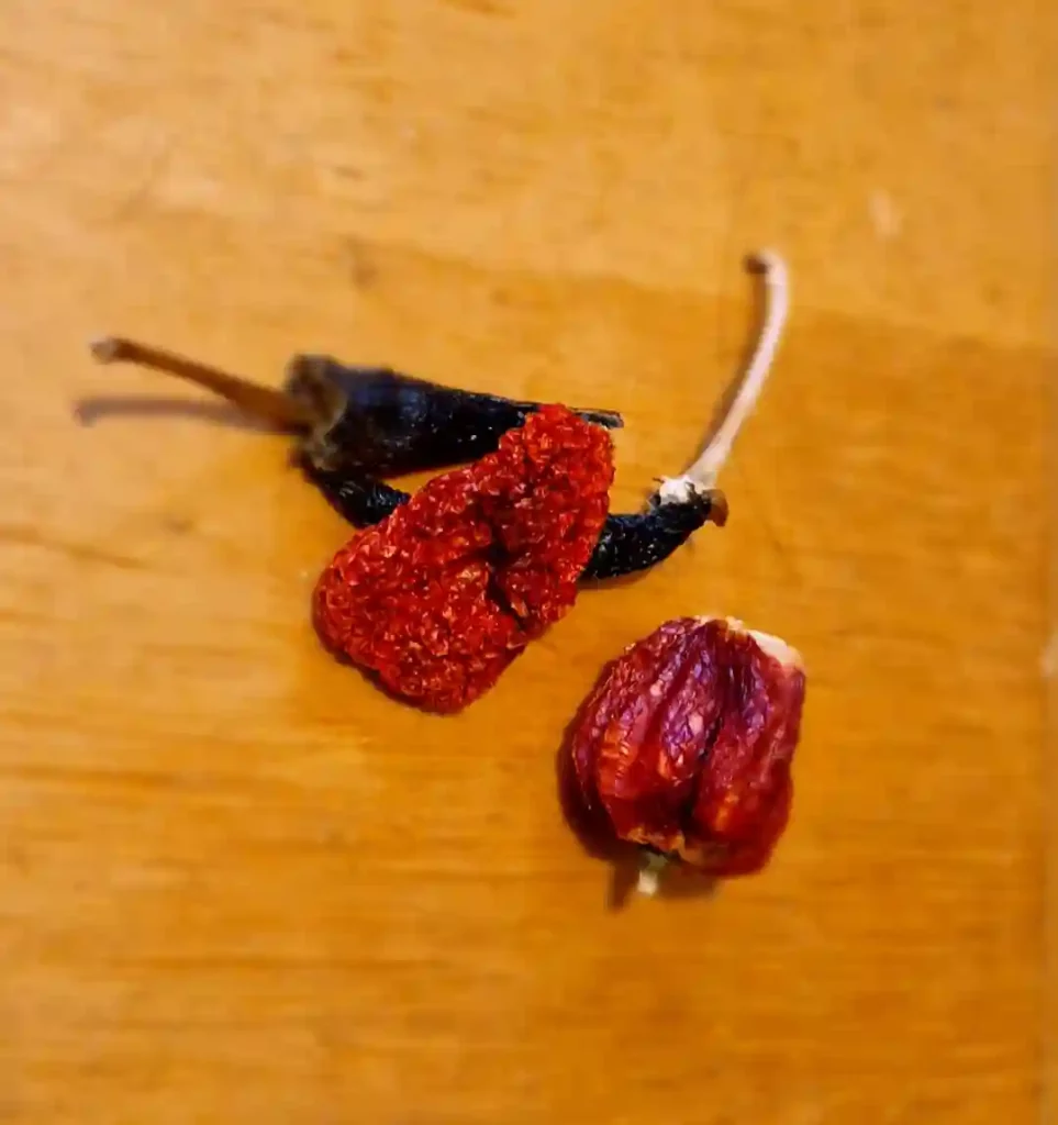 one way to use extra hot peppers is to dry them like these ones.