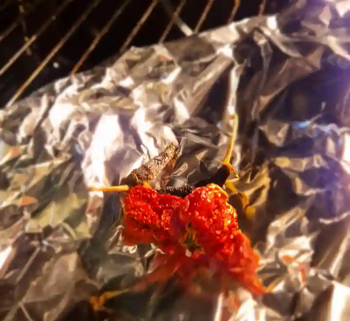 drying extra hot peppers in the oven
